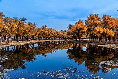 微软重拳出击：今年上半年封禁478万个Xbox账户